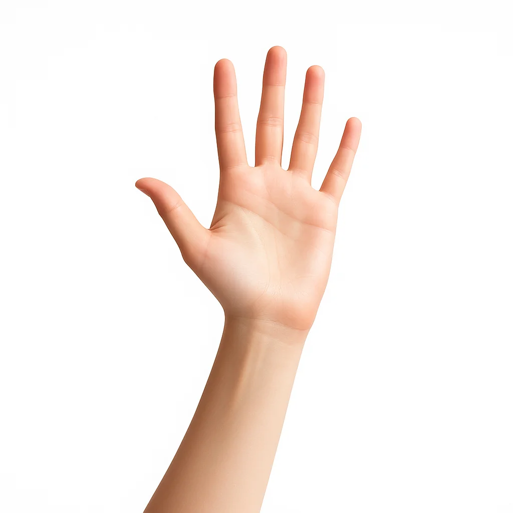 Bild Kategorie: Sonstiges