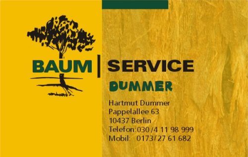 Baumservice Dummer Logo