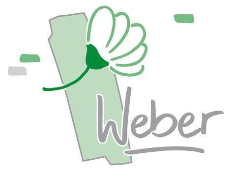 WtW team Logo