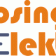 Hosinger Elektro Logo