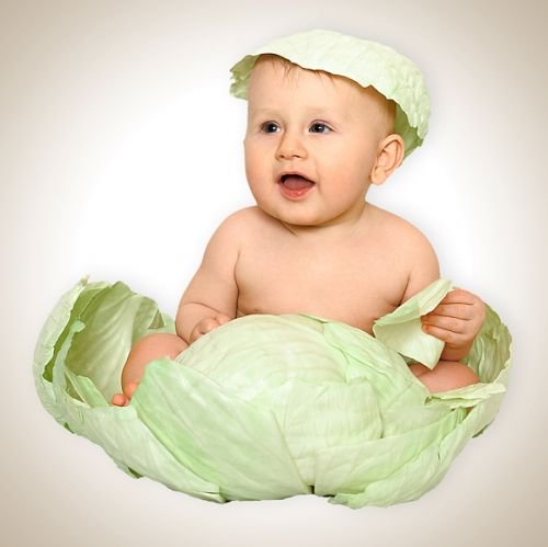 foto-baby.de: Projektreferenz