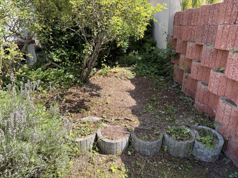 Gartenpflege Schulze: Projektreferenz