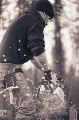 Denis Freund - Dienstleistungen: Profilbild