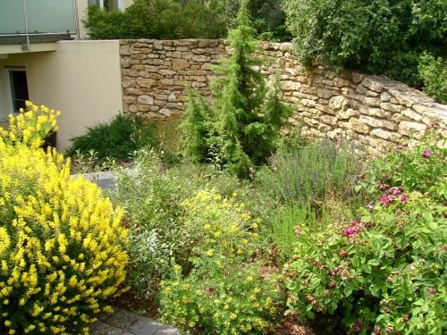 Birkenzweig Naturgartenbau: Projektreferenz