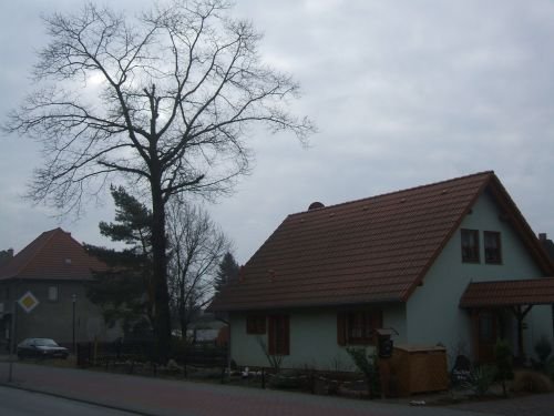 Der Baudienstleister: Baumverschnitt