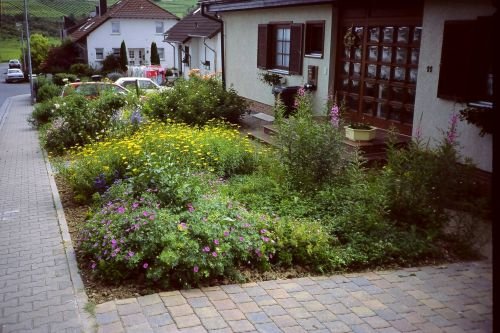 Birkenzweig Naturgartenbau: Projektreferenz