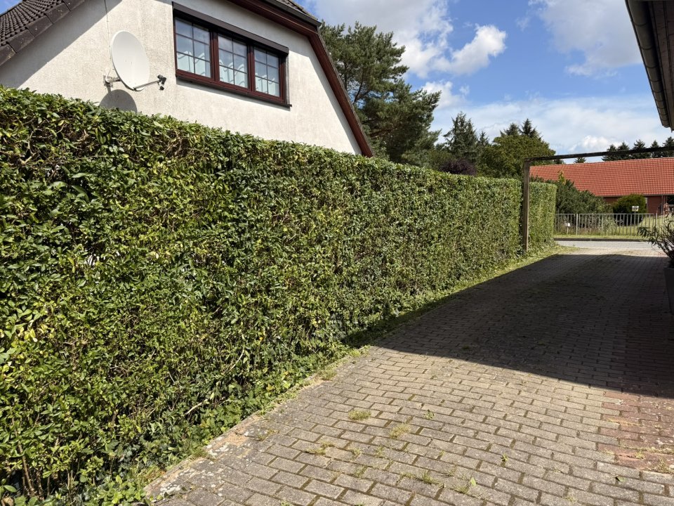 Gartenpflege Schulze: Projektreferenz