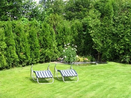 Ferienwohnungen Kutscher in Ostfriesland: Liegewiesen