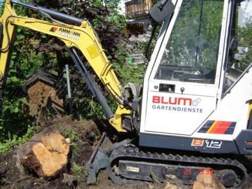 Blum Objektpflege&Gartendienste: Kompl. Wurzelstockentfernung