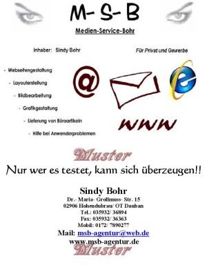 Medienservice Bohr: Projektreferenz