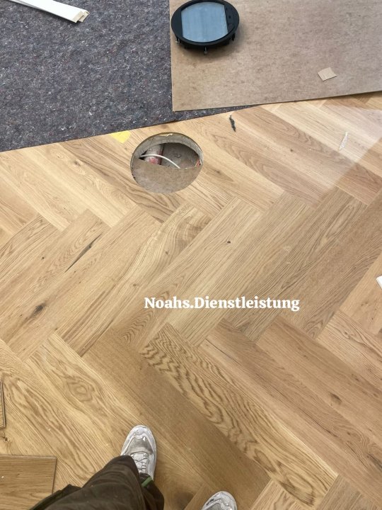 Noahs Baudienstleistung: Projektreferenz
