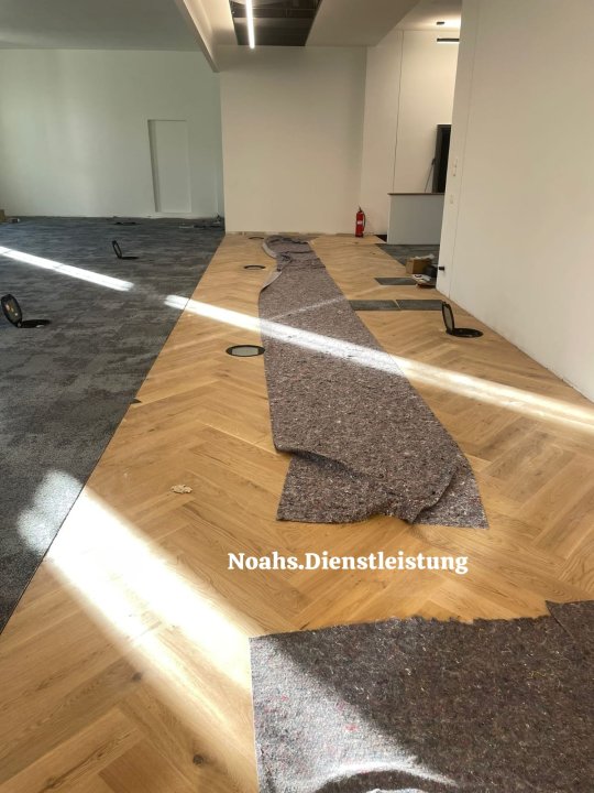 Noahs Baudienstleistung: Projektreferenz