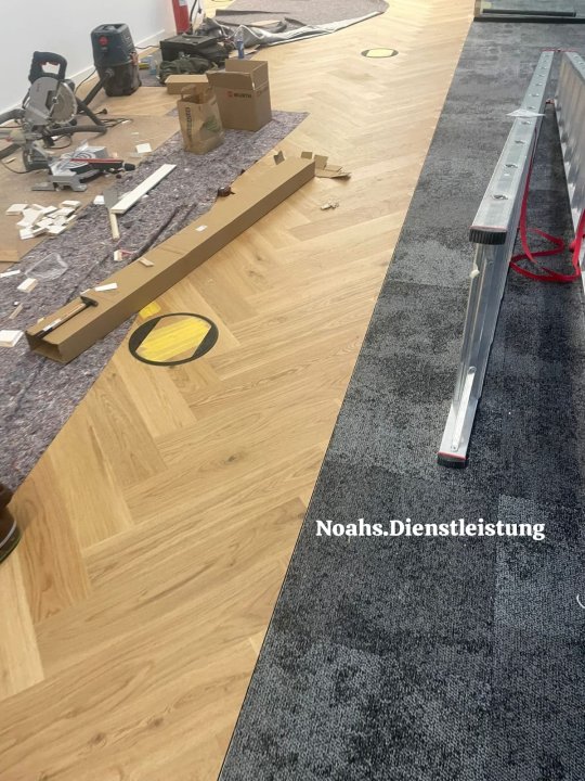 Noahs Baudienstleistung: Projektreferenz