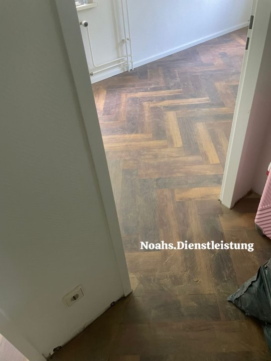 Noahs Baudienstleistung: Projektreferenz