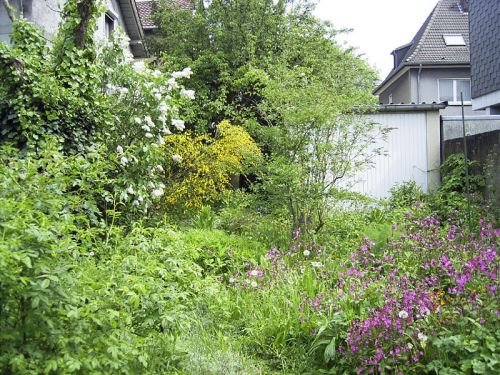 Birkenzweig Naturgartenbau: Projektreferenz