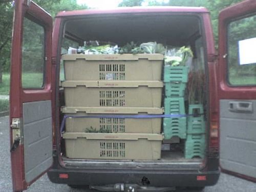 PS-Kleintransporte - Eiltransporte, Direkttransporte u. Möbeltransporte: Eiltransport für Blumengeschäft