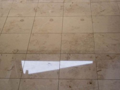 Fliesenschwan: Projektreferenz