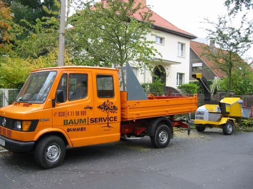 Baumservice Dummer: unsere Technik