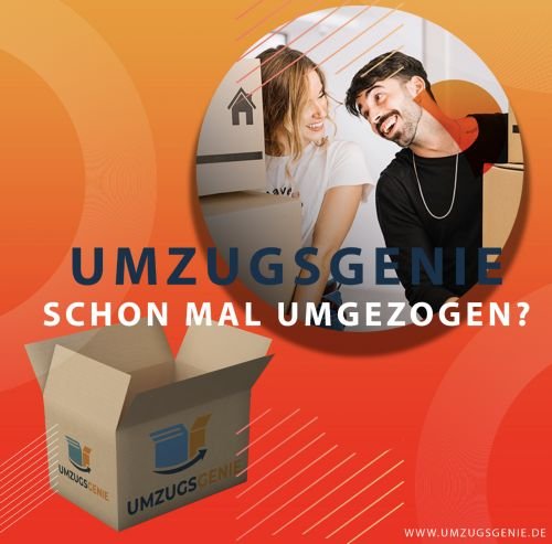 UMZUGSGENIE: Projektreferenz