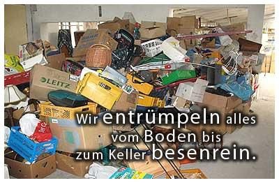 Bergstein Transporte Bundes & Europaweit: Projektreferenz