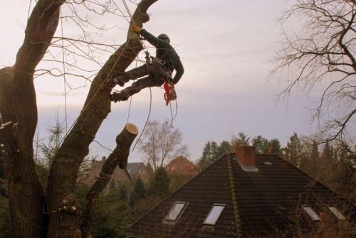 DMD-GARTENBAU: Projektreferenz