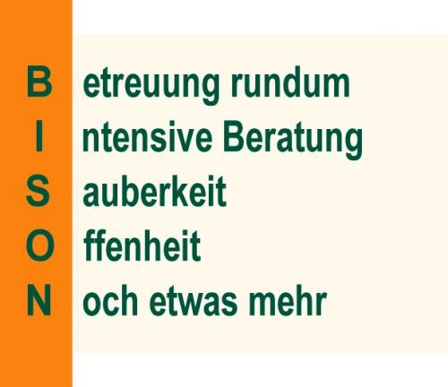 BISON HANDWERKER Systemzentrale GmbH: Die neue Art zu modernisieren