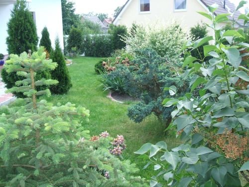 Der Baudienstleister: Garten und Landschaftsbau