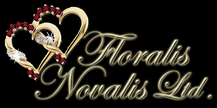 Floralis Novalis: Projektreferenz