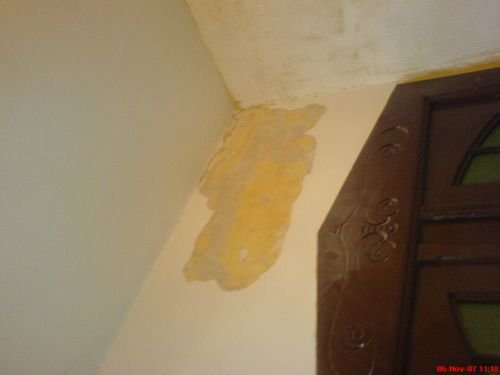 Holz und Bautenschutz Malerarbeiten N.Blaß: Altbau Putzausbesserung mit Gewebe