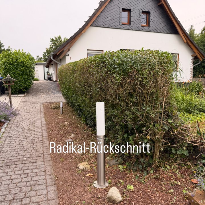 Sehlke&Grün: Projektreferenz