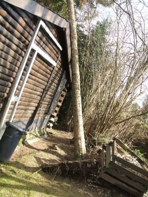Lambeck Seilklettertechnik & Hausmeisterdienst: Sturmschaden!!! Windwurf einer Tanne auf ein Gartenh&auml;uschen. Wurde durch einen Klette...