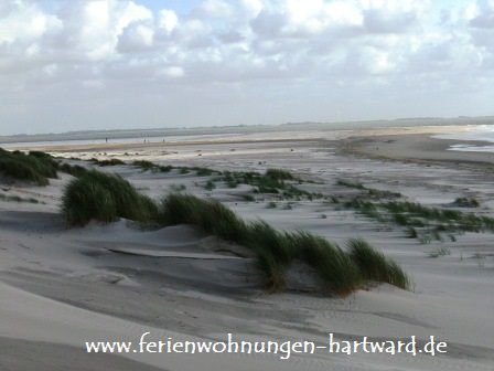 Ferienwohnungen Hartward-Neuharlingersiel: Projektreferenz