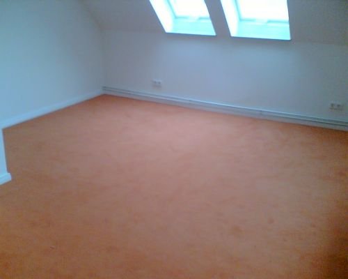 Haus- und Renovierungsservice: Teppich verlegt
