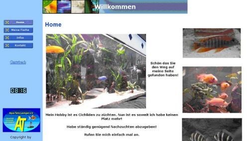 Schimmel EDV Service: Hobby Fischzucht