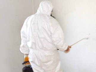 Schädlingsbekämpfung Schemeth GmbH: Projektreferenz