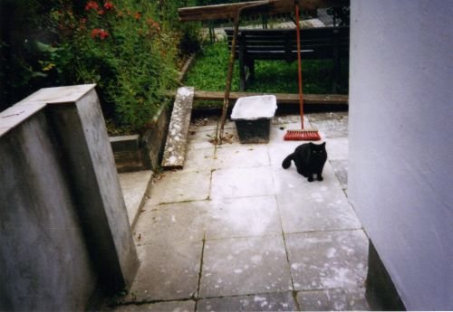 CL HANDWERKSBETRIEB: UND DER BESTE AM PLATZ BLACKY DIE BAUSTELLEN
KATZE