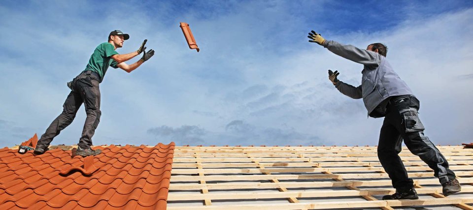 stoica dachservice: Projektreferenz