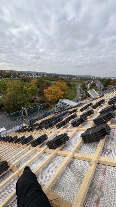 Dach Service: Projektreferenz