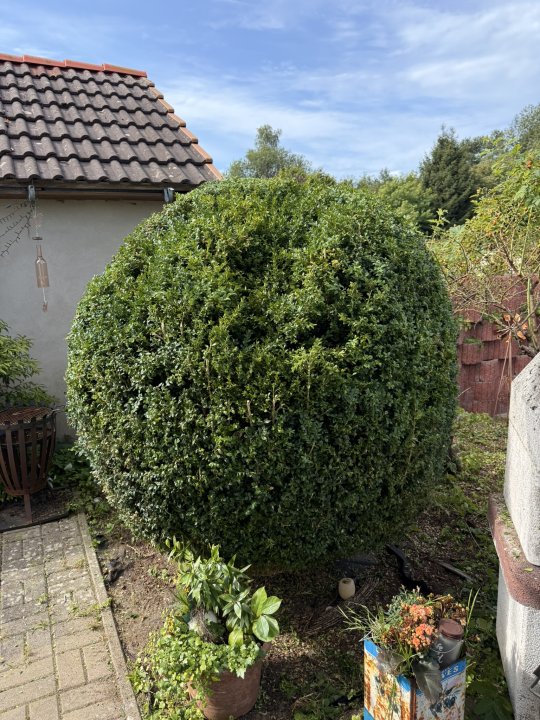 Gartenpflege Schulze: Projektreferenz