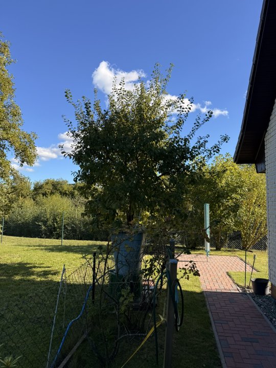 Gartenpflege Schulze: Projektreferenz