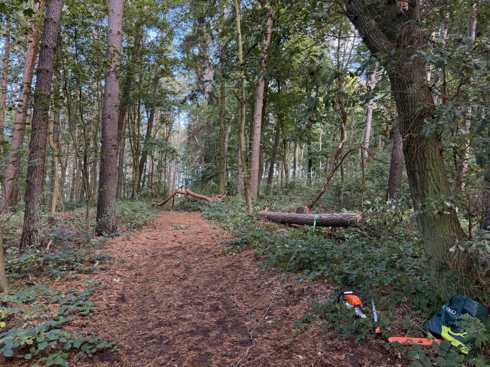 Gartenpflege Schulze: Projektreferenz