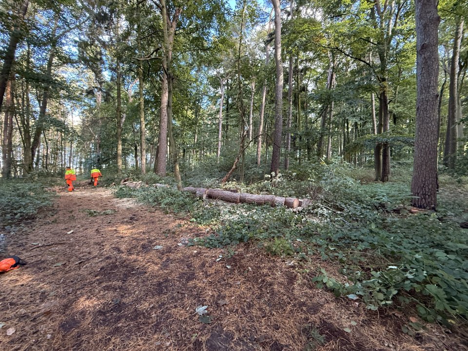 Gartenpflege Schulze: Projektreferenz