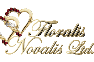 Heiratsantrag in Gold Logo
