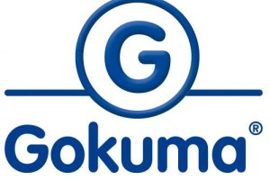 Import Manged Service Logo