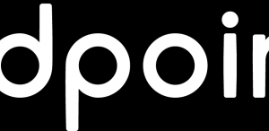 AdPoint GmbH - Google Ads Agentur für AdWords und SEA Logo