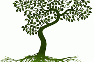Garten-und Landschaftsbau Logo