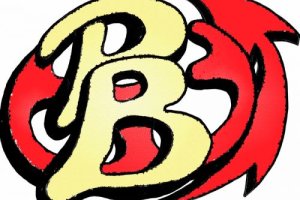Qualitätsumzug mit Fachpersonal. Professionelle Emballage der Möbel. Logo