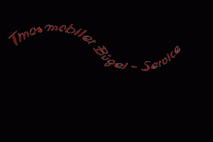 Mobiler Bügelservice Logo
