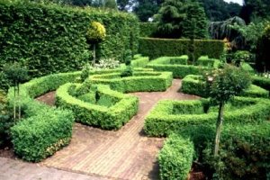 Gartenpflege & Dienstleistungen aller Art Logo