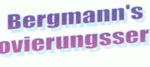 Maler und Flesenleger Logo
